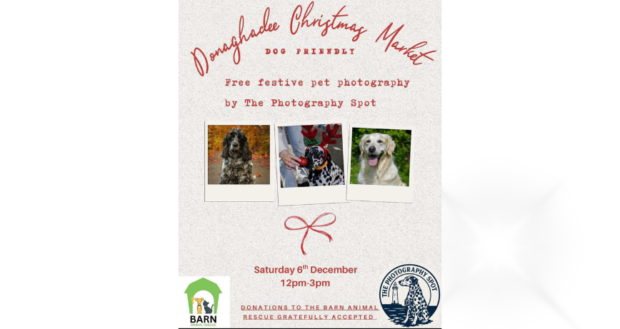Donaghadee Christmas Pet Portraits 2025